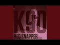 Red Snapper (Vinylgroover & The Red Head Extended Remix)
