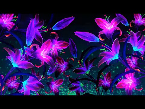 Good Night Music 💜 Soft Calming Sleep Music | 528Hz Calm Deep Sleeping