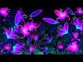 Good Night Music Soft Calming Sleep Music Fall Into Sleep Instantly