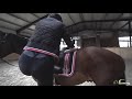Fior Da Liso Highlights