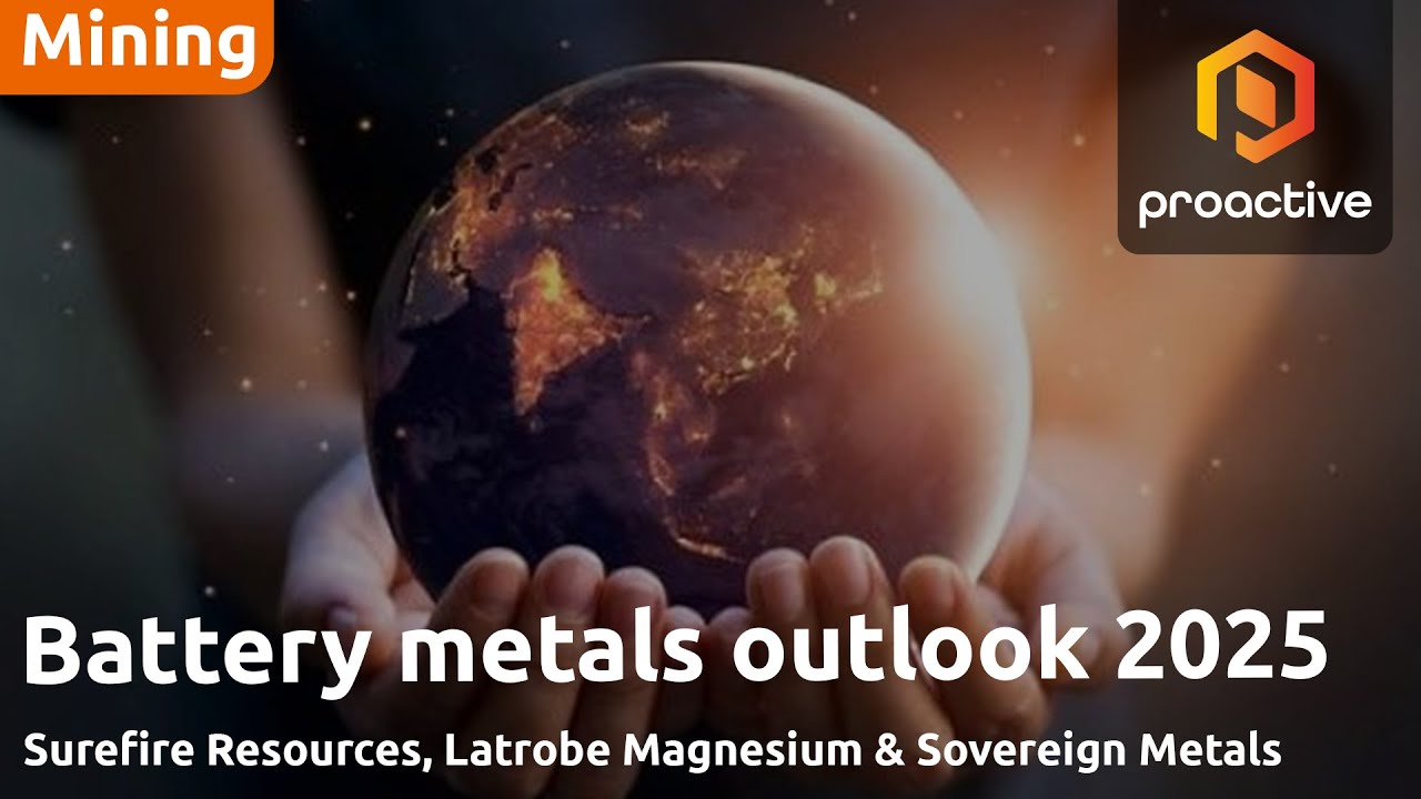 Battery metals 2025 outlook: demand remains strong despite 2024 challenges