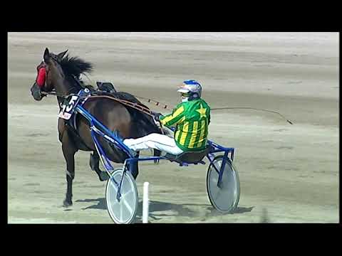 Napoli Trotto 07/09/2021 - 2ª corsa