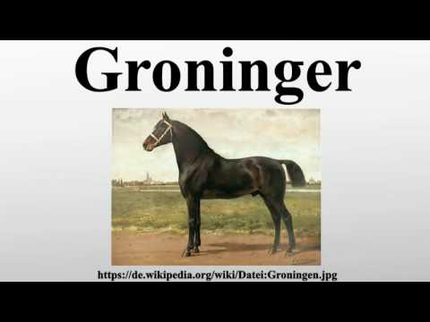 Groninger