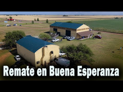 373 Remate en Buena Esperanza (SL) - Estancias y Tradiciones