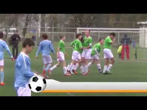 Samenvatting Hermes DVS D1 -  Xerxes DZB D1