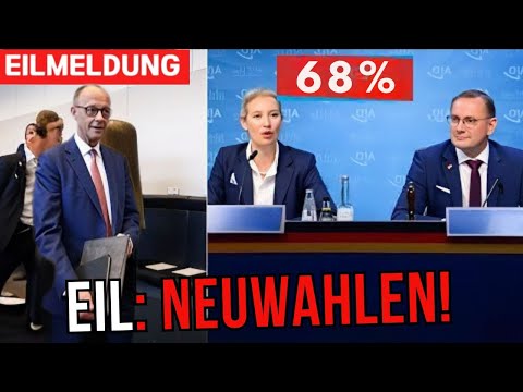 Polit-Schock: Altparteien am Ende? AfD im Aufwind! Analyse der aktuellen Umfragen!