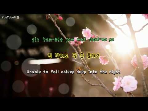 사랑해 미안해 (I Love You, I'm Sorry) - 지아 (Zia) [Eng sub]