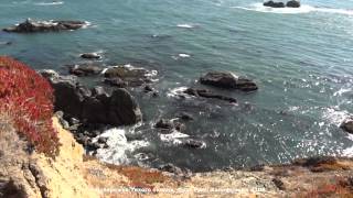 preview picture of video 'Побережье Тихого океана Форт Росс Калифорния США'