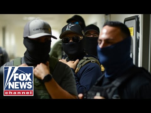 Anti-ICE activists face STARK warning: 'They will pay consequences'