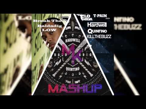 Flo Rida Feat. T-Pain Vs. Hardwell & Quintino Vs. Kill The Buzz - Break The Baldadig Low