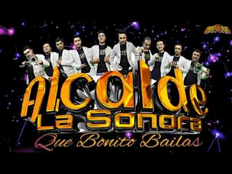 QUE BONITO BAILAS ALCALDE LA SONORA