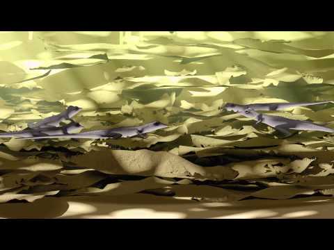 Islands Evolving in Isolation: Anoles