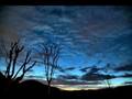 Scott D. Davis - The Unforgiven 