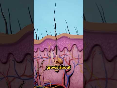 How Fast Does Your Hair Grow?