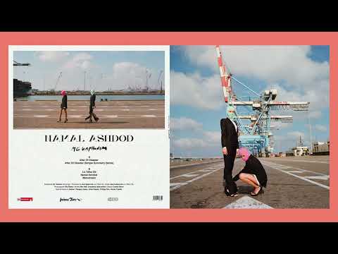 Megaphonim - After Of Disaster [Feines Tier]