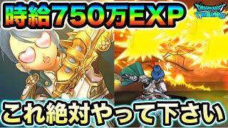 【ドラクエウォーク】経験値ドバドバでウマすぎる！！時給750万経験値でやばいので絶対やって下さい。