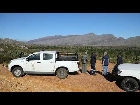 2022-06-24 Zuurvlakte Scion DFFE 4K