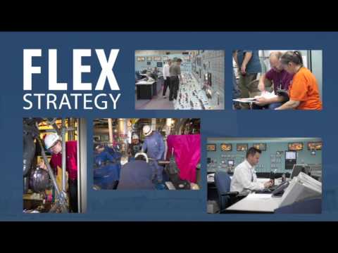 Ensuring Safety -  FLEX Strategy