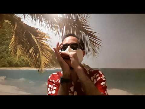 🏝️ JAMES COTTON on the beach (the sunny side of the BLUES HARMONICA) 💀 CORONAVIRUS EDITION