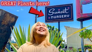 Awesome Nursery On Sunset: Houseplant Tour