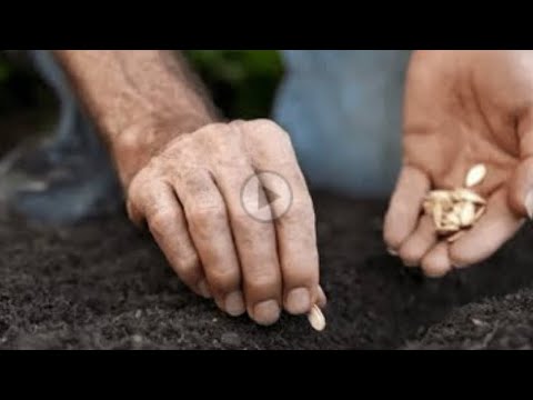 5 gjërat që i shkojnë të vdekurit edhe pas vdekjes së tij