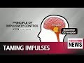 Korean researchers find cause of impulsive behavior