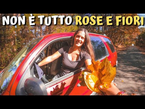 CI ACCAMPIAMO IN UNA FORESTA E CI RITROVIAMO IN UN FILM HORROR 🌎 VLOG Road Trip USA