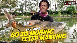Download lagu Cak Sodiq & New Monata - Bojo Muring Tetep Mancing ( GK Musik Performance Video) mp3 Download lagu Cak Sodiq & New Monata - Bojo Muring Tetep Mancing ( GK Musik Performance Video) mp3