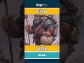 pillage - pillaje video thumbnail