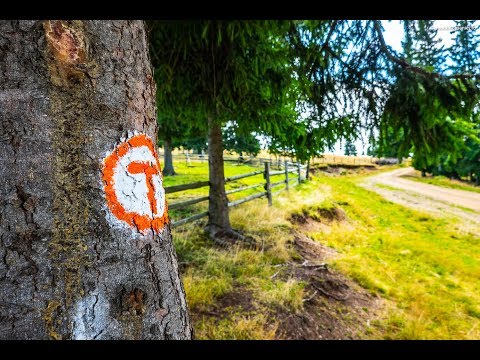 Via Transilvanica #1: Vatra Dornei - Poiana Negrii