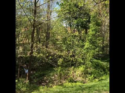 Video thumbnail for anything