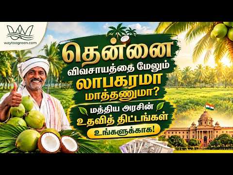 தென்னை விவசாயிகளுக்கான CDB திட்டங்கள் | Coconut Development Board Schemes 2026 | மானியம் & நிதியுதவி