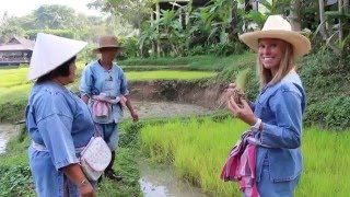 A Perfect Day at the Four Seasons Chiang Mai