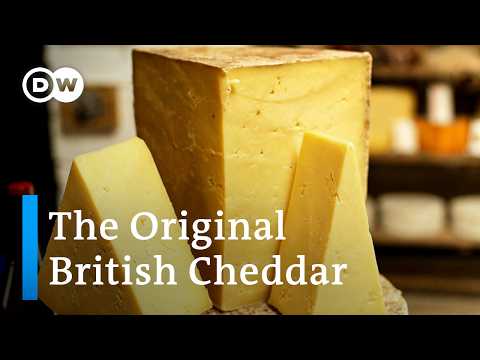How traditional British Cheddar is made in Somerset