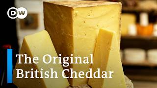 How traditional British Cheddar is made in Somerset