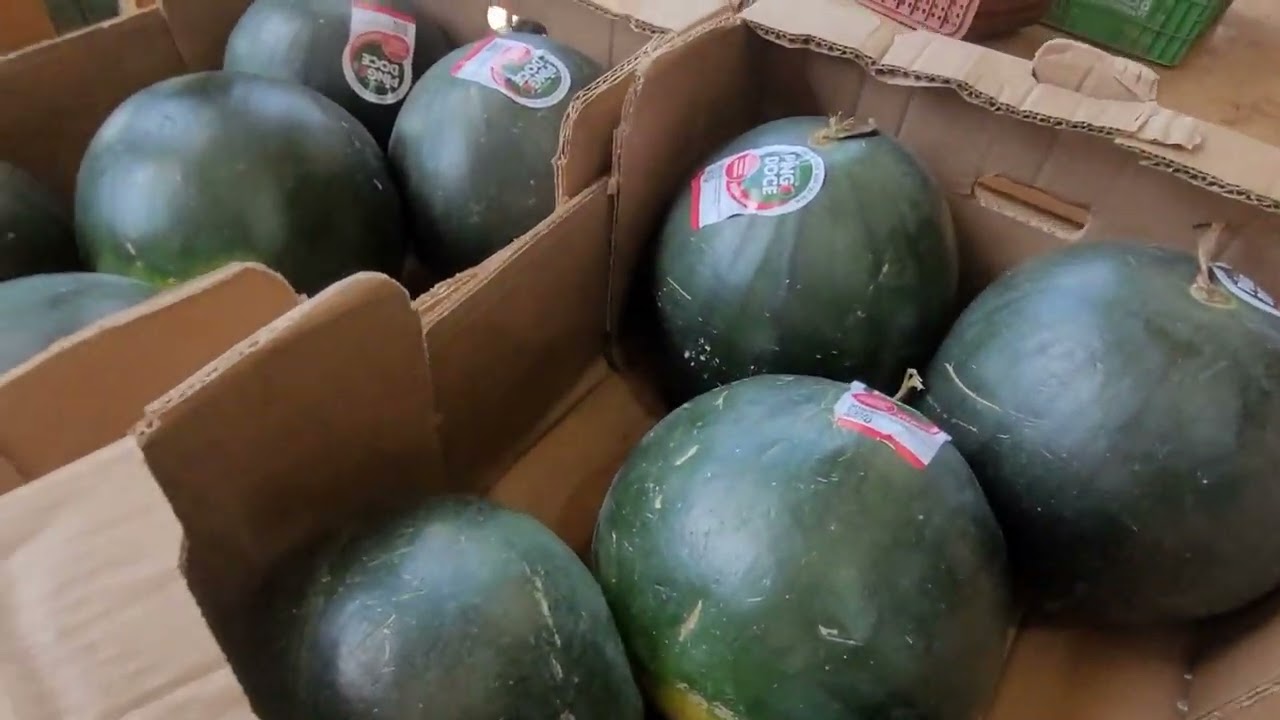 VOLTAMOS NO CEAGESP EM SÃO PAULO #ceasa #agro #frutas