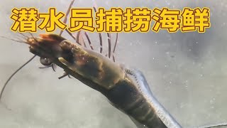 潜水员捕捞海鲜