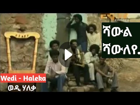 Wedi Haleka Shawl Shawleye...ወዲ ሃለቃ ሻውል ሻውለየ