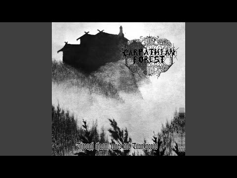 The Pale Mist Hovers Towards the Nightly Shores