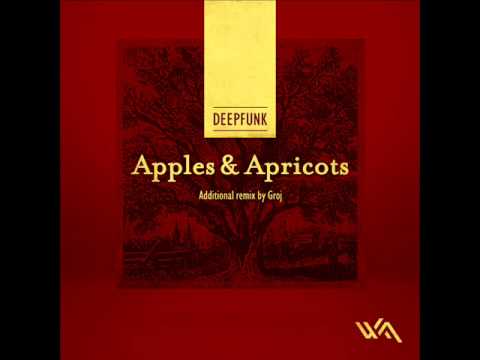 Deepfunk - Black Lemon Trees (Original Mix) - Wide Angle Recordings