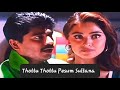 Thottu Thottu Pesum Sultana