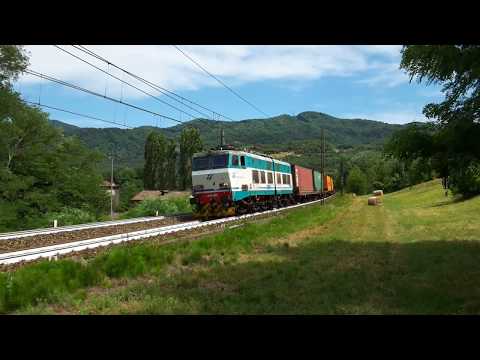 IL SALUTO DEL CAIMANO E.656 606 CON MERCI A RIGOROSO (AL) 15 - 7 - 2017