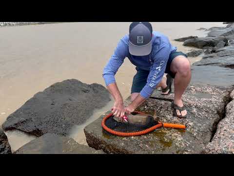 CCA Texas STAR Tournament 2021: How To CLIP Tag from Tagged Redfish