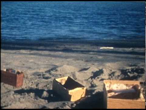 The Upsidedown - Mea Maxima Culpa