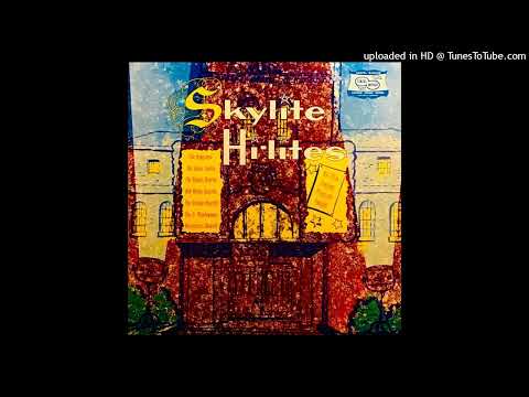 Skylite Hi-Lites LP  [Mono] - Various Skylite Artists (19??) [Full Album]