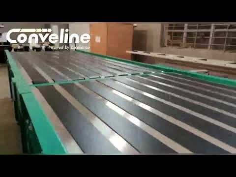 Belt Conveyors Systems