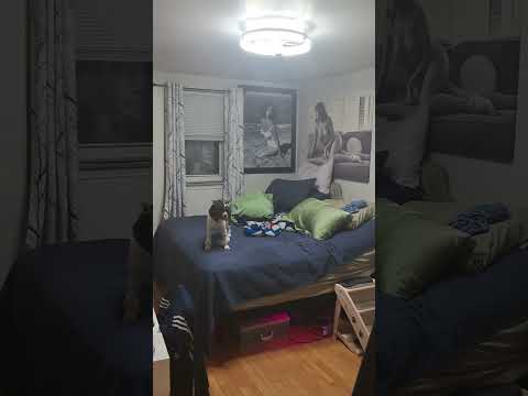 video 1