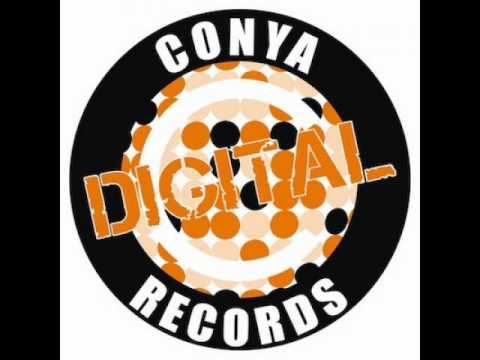 Danarchism - Non Dualite [Conya Records]