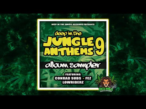 Lowriderz & Smoky D - Hybrid Skank (Original Mix)