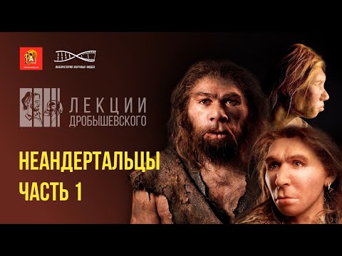 О неандертальцах, их жизни и смерти. Лекция Станислава Дробышевского